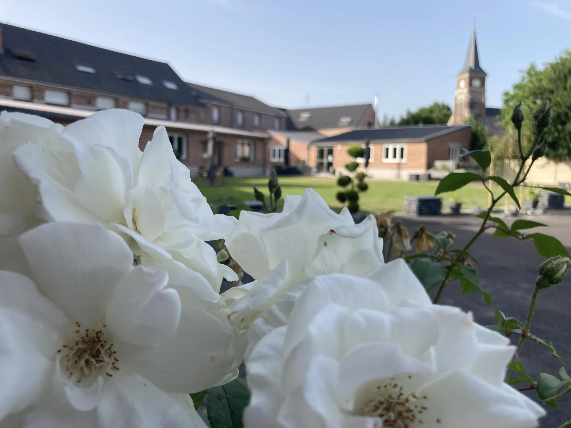 Véritable écrin de verdure au 3 Tilleuls, Cambrai