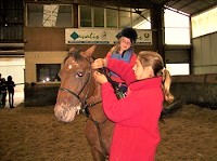 Cours équitation, initiation.