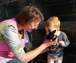 Caresse et soins aux animaux.