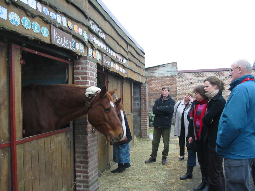 Boxe à chevaux sont au bout du jardin du gîte.