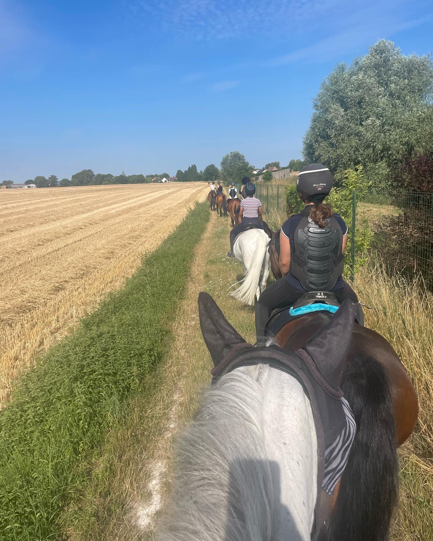 Centre équestre Sancourt